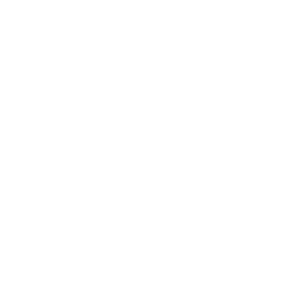 Structural Detailing 21 technical support